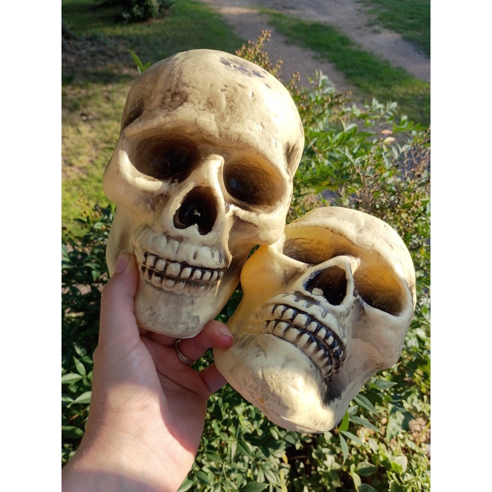 Halloween Skull Decoration Realistic Plastic Skeleton Head Horror Prop 7ct 2011